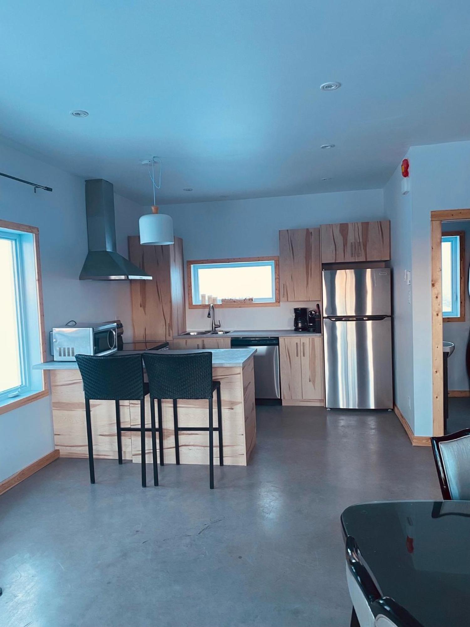 Chalet Mont Edouard De 4 Unites L'Anse-Saint-Jean Ngoại thất bức ảnh